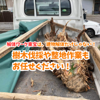 鹿児島 解体工事専門店 解体ワーク東宝は、建物解体だけじゃない！樹木伐採や整地作業もお任せください🌲【2025年6月16日】